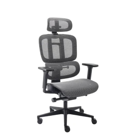 Cadeira Ergonômica Elements Sophy NR-17