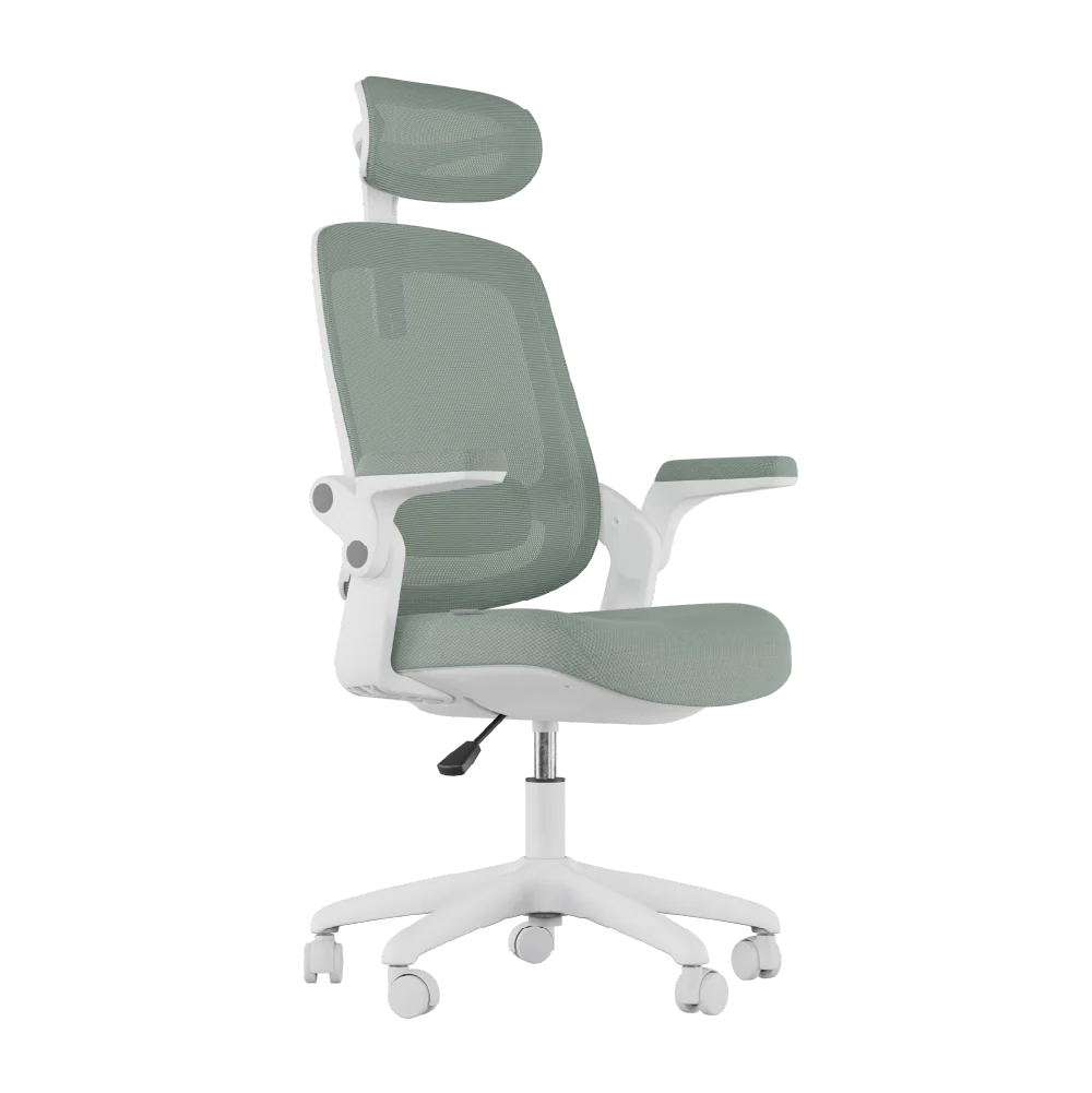 Cadeira Ergonômica Elements Astra NR-17