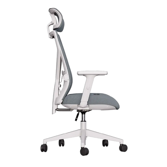 Cadeira Ergonômica Elements Albari