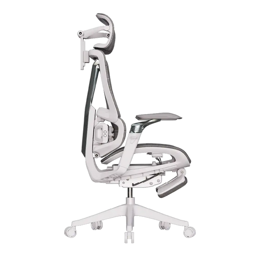 Cadeira Ergonômica Elements Calaena