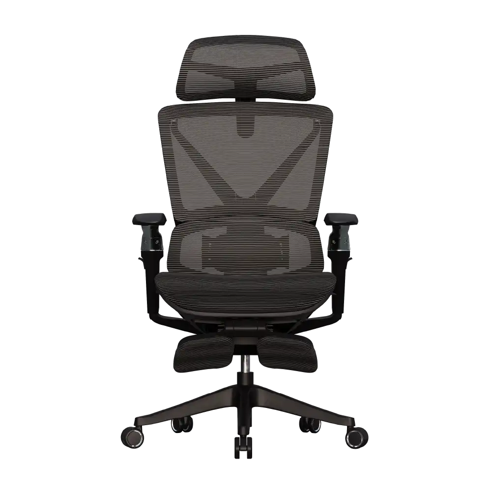 Cadeira Ergonômica Elements Calaena NR-17