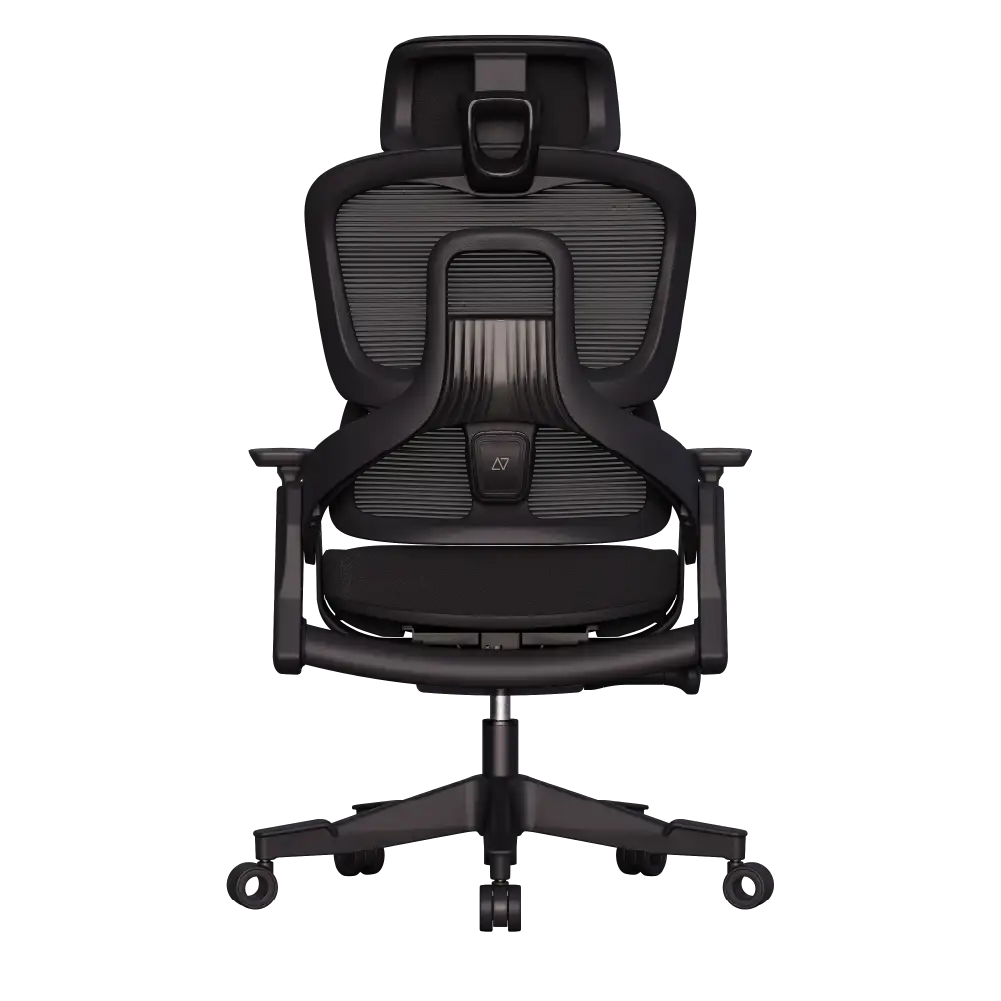 Cadeira Ergonômica Elements Calira