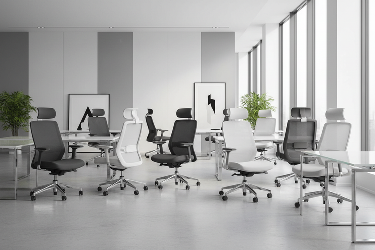 Cadeiras Ergonômicas