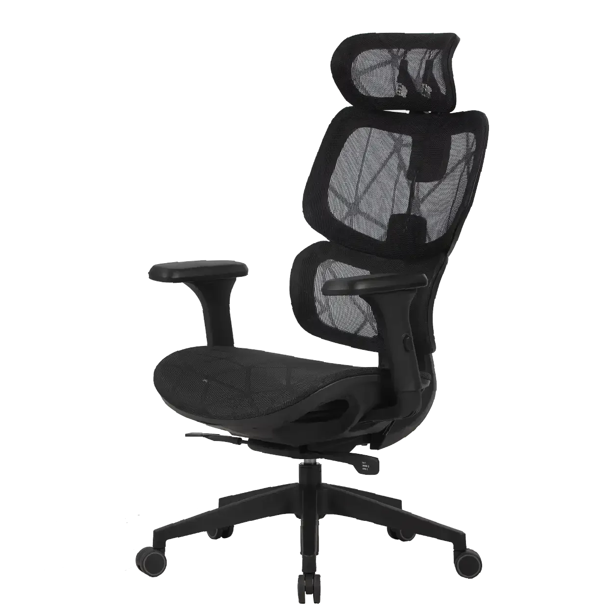 Cadeira Ergonômica Elements Siggy
