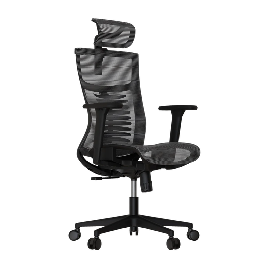 Cadeira Ergonômica Elements Vertta Pro