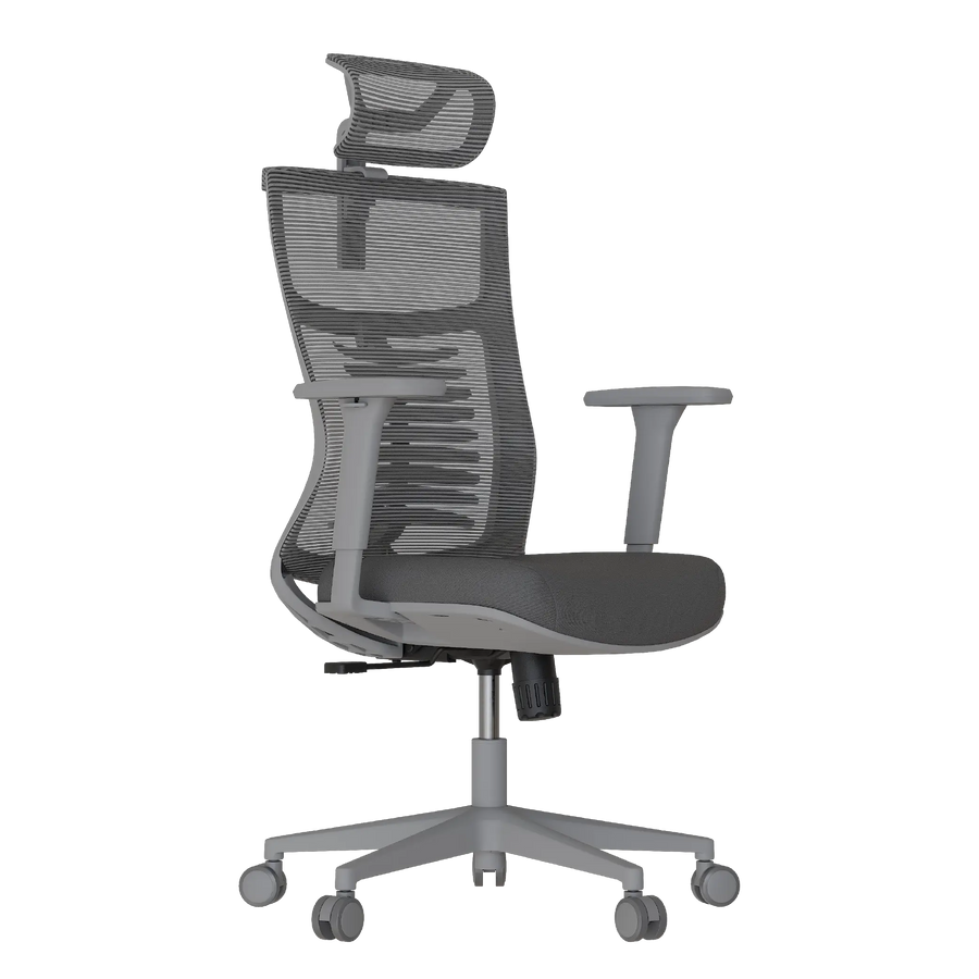 Cadeira Ergonômica Elements Vertta NR-17