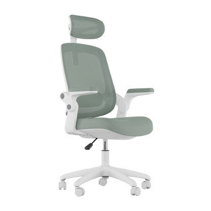 Cadeira Ergonômica Elements Astra NR-17