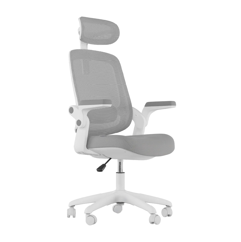 Cadeira Ergonômica Elements Astra