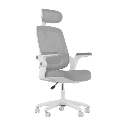 Cadeira Ergonômica Elements Astra NR-17