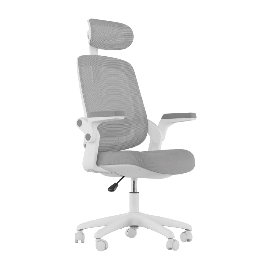 Cadeira Ergonômica Elements Astra NR-17
