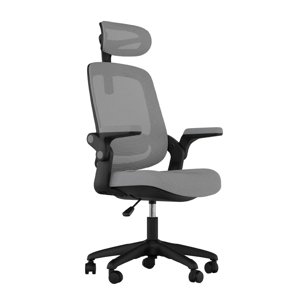 Cadeira Ergonômica Elements Astra