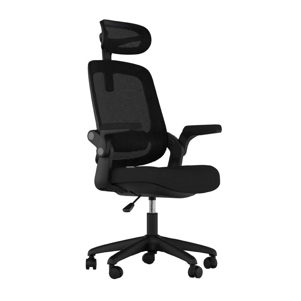 Cadeira Ergonômica Elements Astra