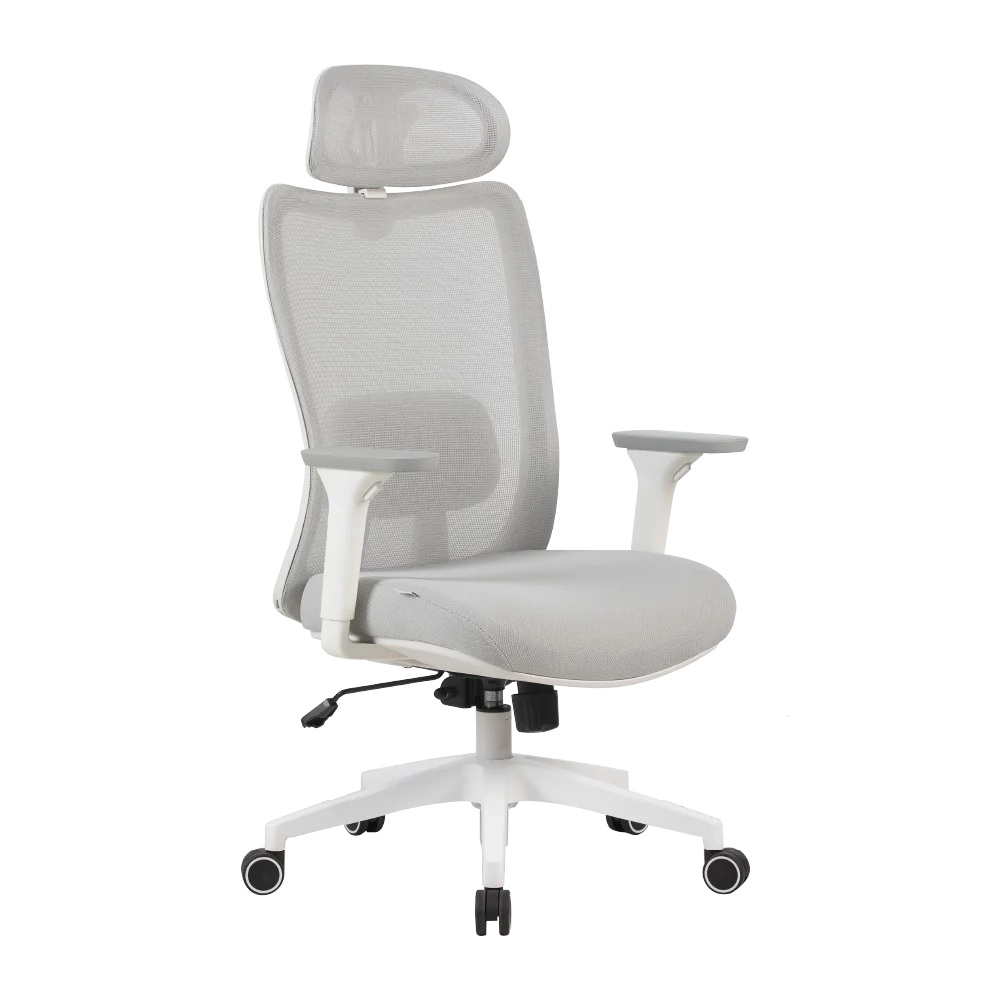 Cadeira Ergonômica Elements Astra Pro