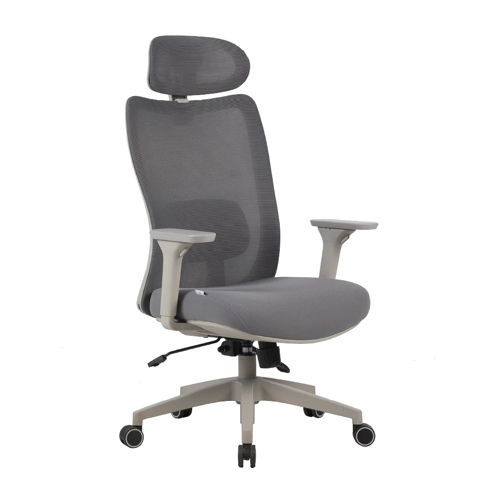 Cadeira Ergonômica Elements Astra Pro
