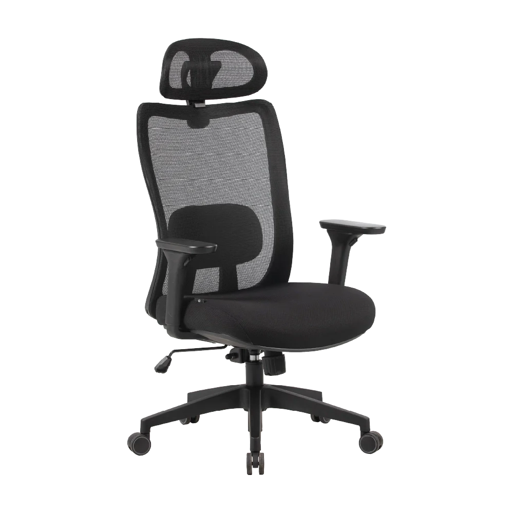 Cadeira Ergonômica Elements Astra Pro