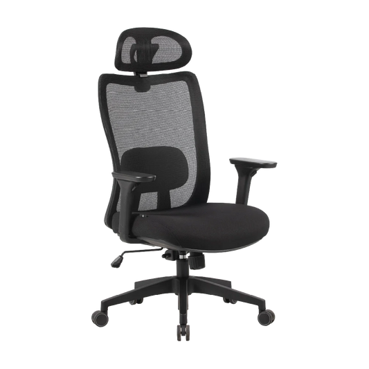 Cadeira Ergonômica Elements Astra Pro