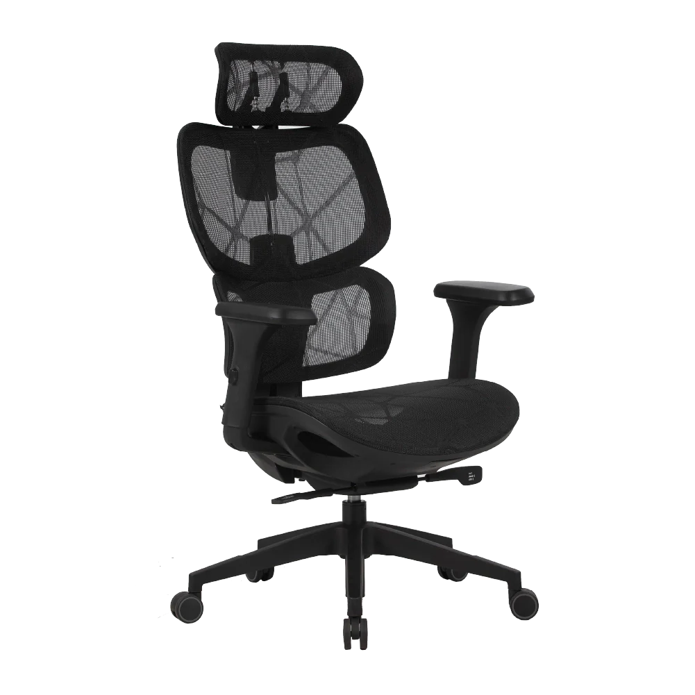 Cadeira Ergonômica Elements Siggy