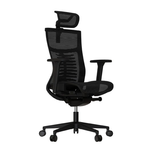 Cadeira Ergonômica Elements Vertta Special