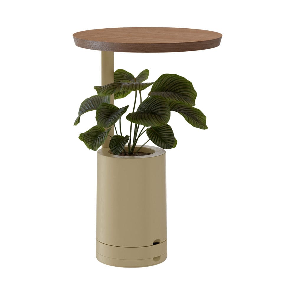 Se mostra uma mesa Amiata com tampo redondo de madeira e vaso incorporado para planta na cor Beige.