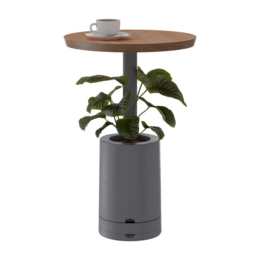 Se mostra uma mesa Amiata com tampo redondo de madeira e vaso incorporado para planta na cor Cinza.