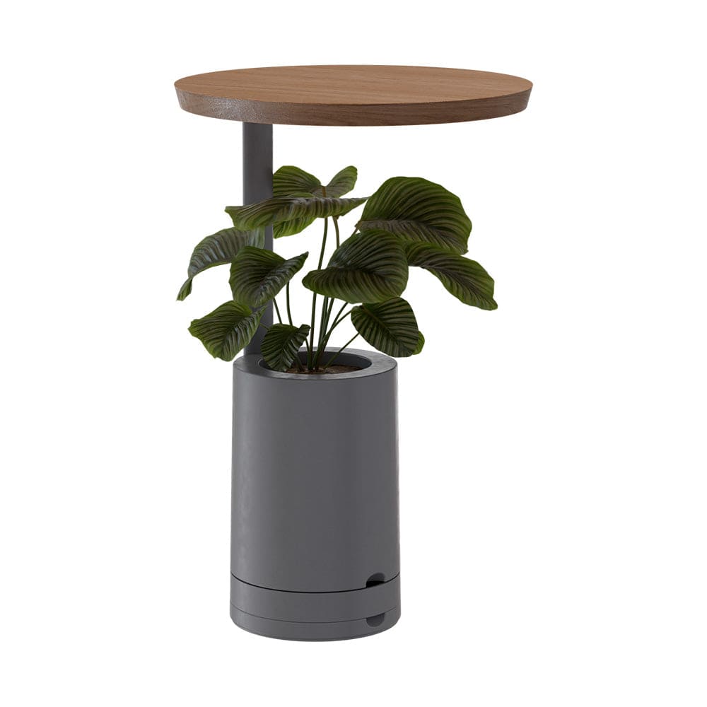 Se mostra uma mesa Amiata com tampo redondo de madeira e vaso incorporado para planta na cor Cinza.