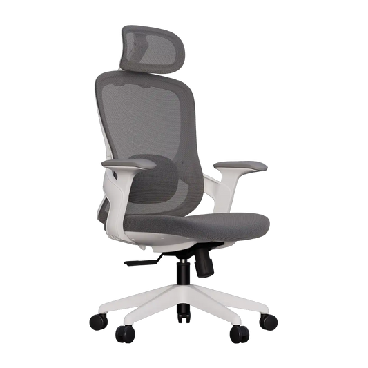 Cadeira Ergonômica Elements Alásia