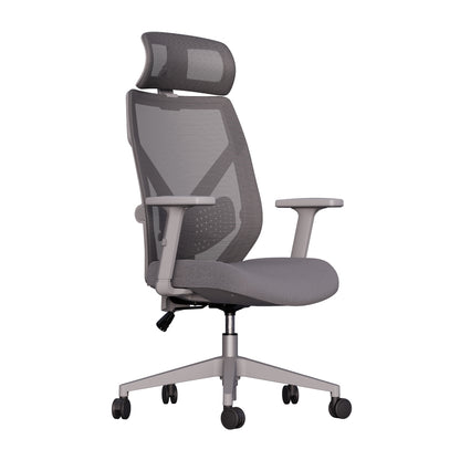 Cadeira Ergonômica Elements Albari NR-17