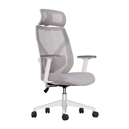 Cadeira Ergonômica Elements Albari NR-17