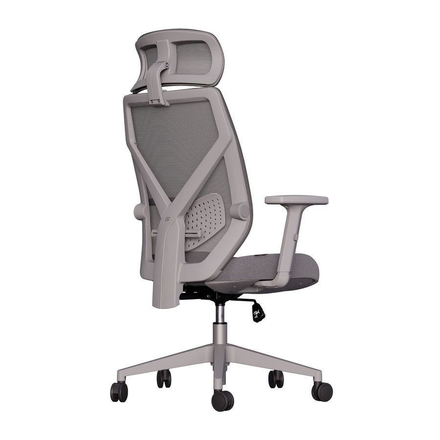 Cadeira Ergonômica Elements Albari NR-17