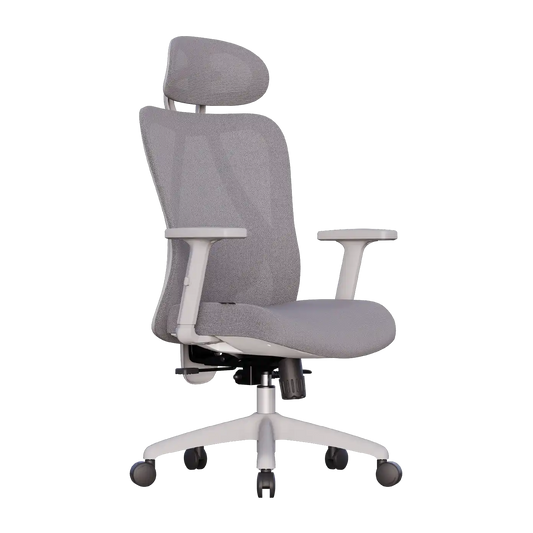 Cadeira Ergonômica Elements Samaia