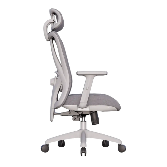 Cadeira Ergonômica Elements Samaia