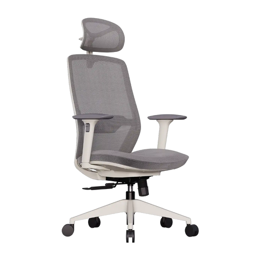 Cadeira Ergonômica Elements Serena