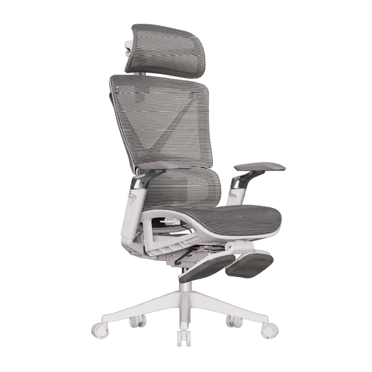 Cadeira Ergonômica Elements Calaena