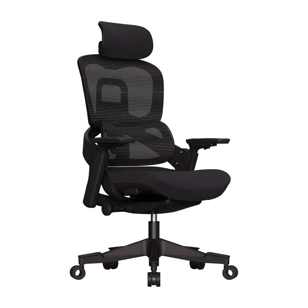 Cadeira Ergonômica Elements Calira