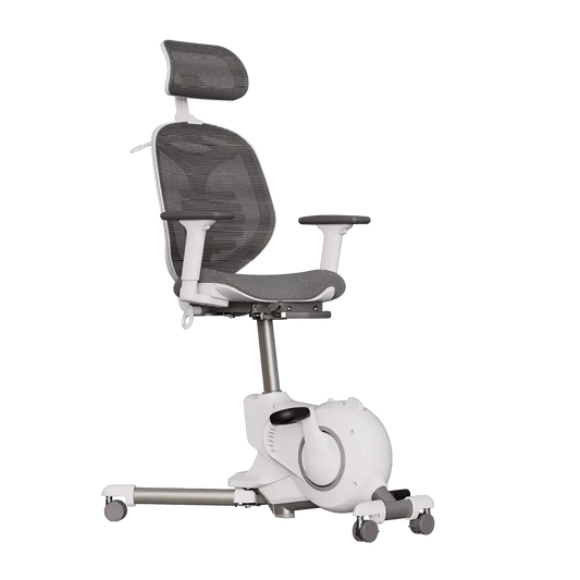 Cadeira Ergonômica Elements Egea