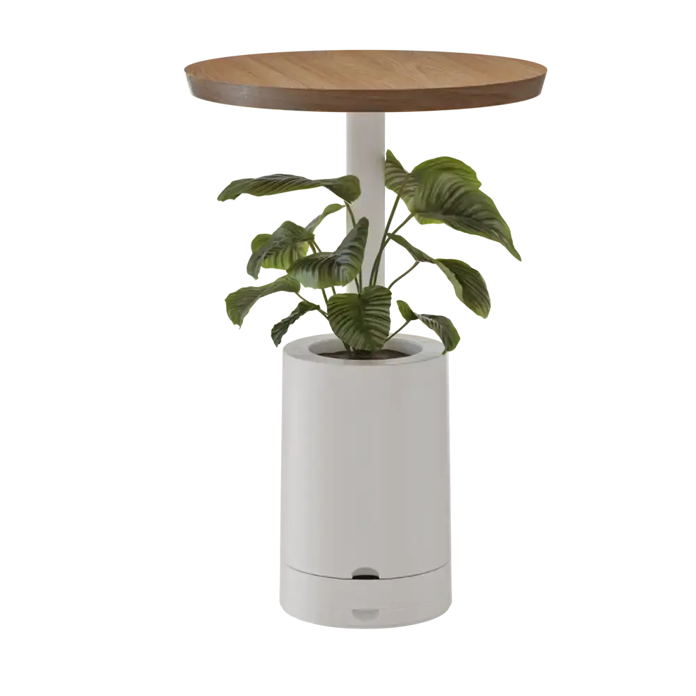 Mesa de Apoio com Vaso para Planta Elements Amiata